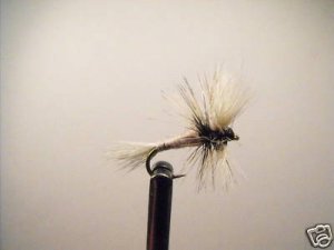 1 Dozen -  White Wulff  - Dry Fly -  Assortment
