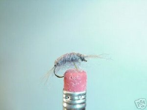 1 Dozen -  Scud Nymph   Gray Fly Assortment