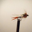 1 Dozen Rainbow  Prince Nymph Wet Fly Trout