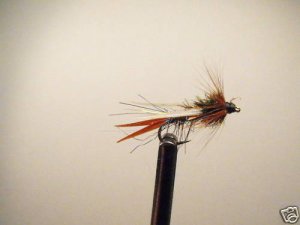 1 Dozen Rainbow  Prince Nymph Wet Fly Trout