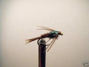 1 Dzn - FB Pheasant Tail Nymph Wet Fly Trout