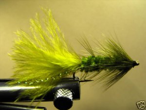 1 Dzn - Woolly Bugger - Trout or Pan fish -  Olive