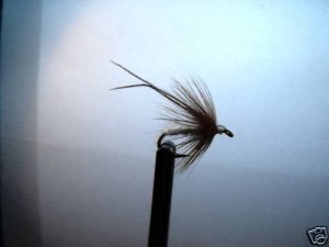 1 Dzn - Soft Hackle Cream Caddis Nymph Wet Fly Trout