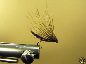 12 Extended Bodied Elk Hair Caddis - Dry Fly  DK Purple