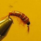 1 Dzn Brown Scud Nymph Wet Fly Trout