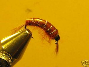 1 Dzn Brown Scud Nymph Wet Fly Trout