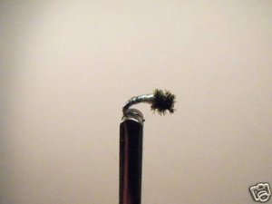 1 Dzn - Disco Midge  Nymph Wet Fly Trout