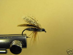 1 Dozen - Partridge Adult Caddis - Dry Fly - Trout