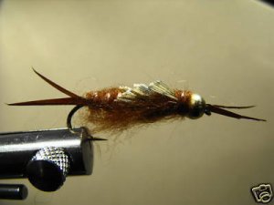1 dozen - BH Brown Stonefly Nymph - Trout Wet Fly