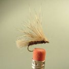 1 Dozen -  X Caddis - Dry Fly -  Assortment