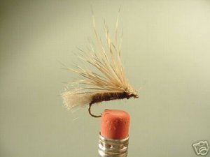 1 Dozen -  X Caddis - Dry Fly -  Assortment