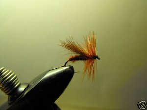 1 Dzn - Brown Fluttering Caddis  - Dry Fly -  Trout