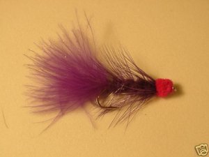 1 Dozen Brown Leech with Egg Wet Fly  Trout Steelhead