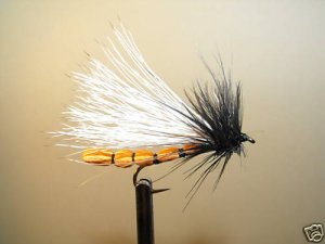 12 Ong Adult Stonefly Dry Fly Trout, Steelhead, Salmon