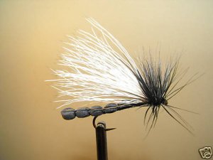 12 BLK Adult Stonefly  Dry Fly Trout, Steelhead, Salmon