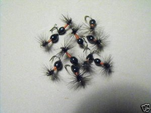 12 -  Hot Shot  Black Ant  -  Dry Fly  Assortment