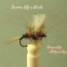1 Dozen -  Royal Coachman  - Dry Fly -  Assortment