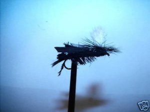 1 Dzn Dave's Prachute Black Cricket  Dry Fly Assortment