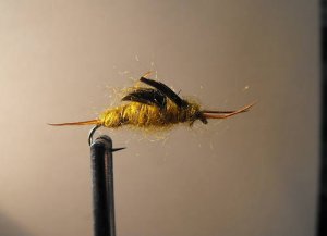 1 dozen - Golden Stonefly Nymph - Trout Wet Fly
