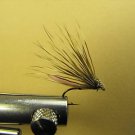 12 Extended Bodied Elk Hair Caddis Dry Fly  Pink