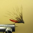 12 Extended Bodied Elk Hair Caddis - Dry Fly - Red