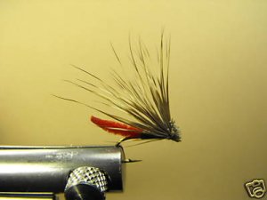 12 Extended Bodied Elk Hair Caddis - Dry Fly - Red
