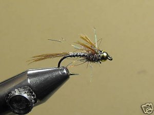 12 Brass Bead Lightning Bug Nymph Wet Fly Trout