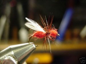 12 -  Winged Red Ant  -  Dry Fly  Assortment
