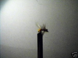 12 -  Winged Orange Ant  -  Trout  Dry Fly Midge  #22
