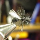 12 -  Winged Black Ant  -  Dry Fly  Assortment