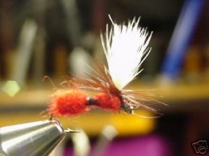 12 -  Red Parachute Ant  -  Dry Fly  Assortment