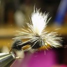 12 -  Black Parachute Ant  -  Dry Fly  Assortment