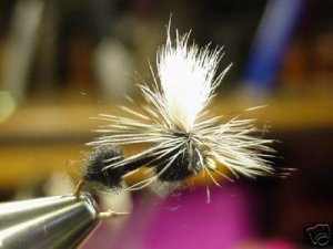 12 -  Black Parachute Ant  -  Dry Fly  Assortment
