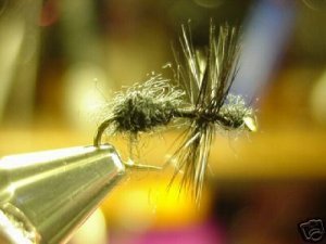 12 -  Black Ant  -  Trout Dry Fly  Assortment
