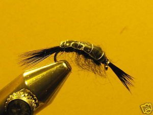 1 Dzn Black Scud Nymph Wet Fly Trout