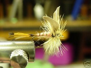 1 Dzn - Pink Lady - Dry  Fly Assortmanet