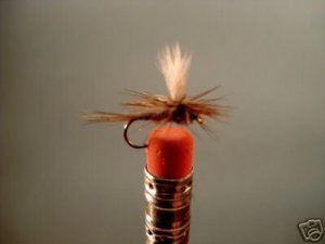 1 Dzn - Parachute Phesant Tail  -  Dry Fly - Assortment