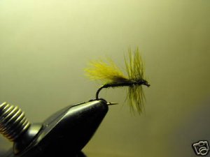 1 Dzn - Olive  Fluttering Caddis  - Dry Fly -  Trout
