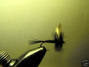 1 Dzn - Black Gnat - Dry Fly Trout