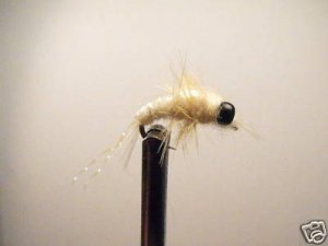 1 Dzn -  Mysis Shrimp  Nymph Trout Steelhead Assortment