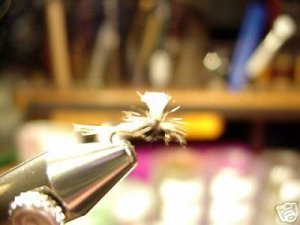 1 Dozen - Trico Parachute  Dry Fly -  Size 20 and 22