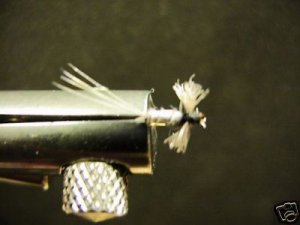 1 Dozen - Trico - Midge Dry Fly - Trout