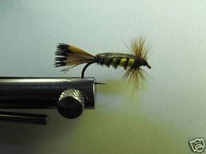 1 Dozen - Tellico Nymph - Wet Fly - Trout & Steelhead