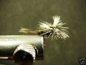 1 Dozen - Parachute Peacock - Midge Dry Fly - Trout