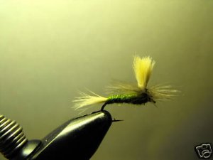 1 Dozen - Parachute BWO - Dry Fly - Trout
