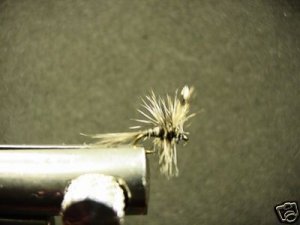 1 Dozen - Mosquito - Midge Dry Fly - Trout
