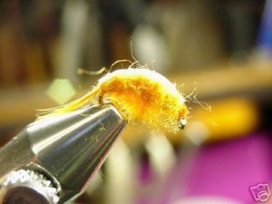 1 Dozen -  Scud Nymph Orange Fly Assortment