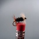 1 Dozen -  Peacock Renegade - Dry Fly -  Assortment