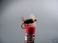1 Dozen -  Peacock Renegade - Dry Fly -  Assortment