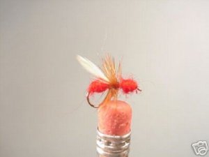 1 dozen  Winged  Red Termite - Dry Fly -  Assortment